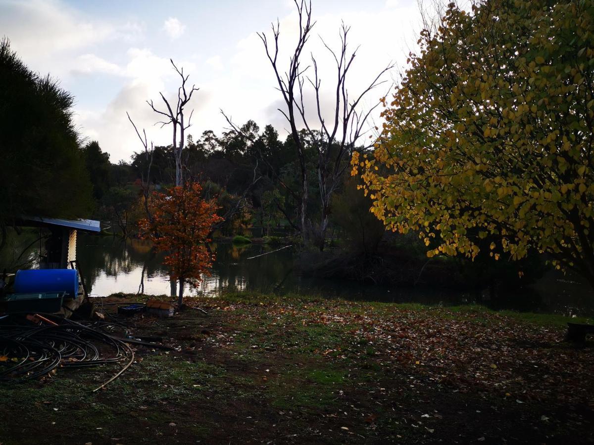 Woodlands Of Balingup Bush Cottages エクステリア 写真