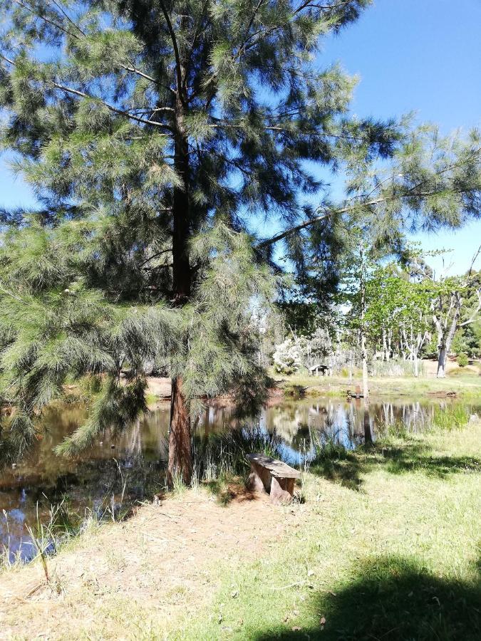 Woodlands Of Balingup Bush Cottages エクステリア 写真